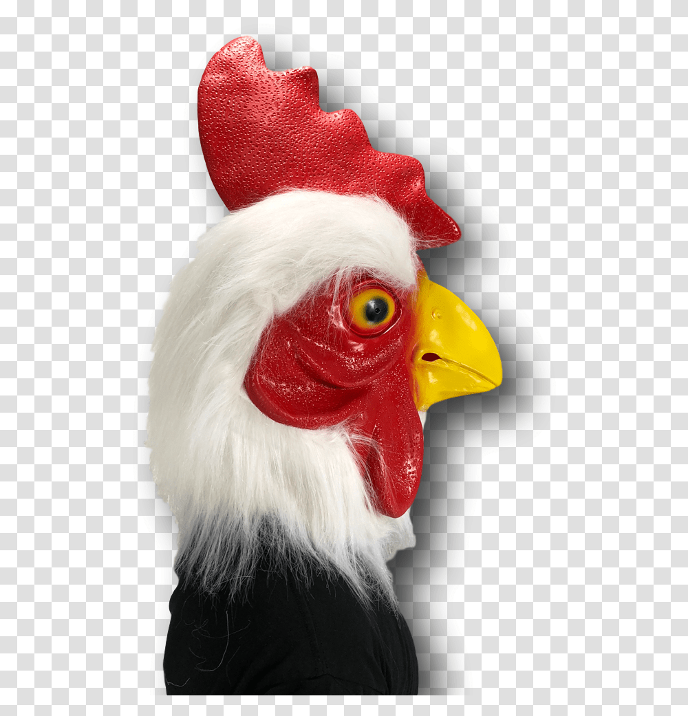 Rooster, Bird, Animal, Fowl, Poultry Transparent Png