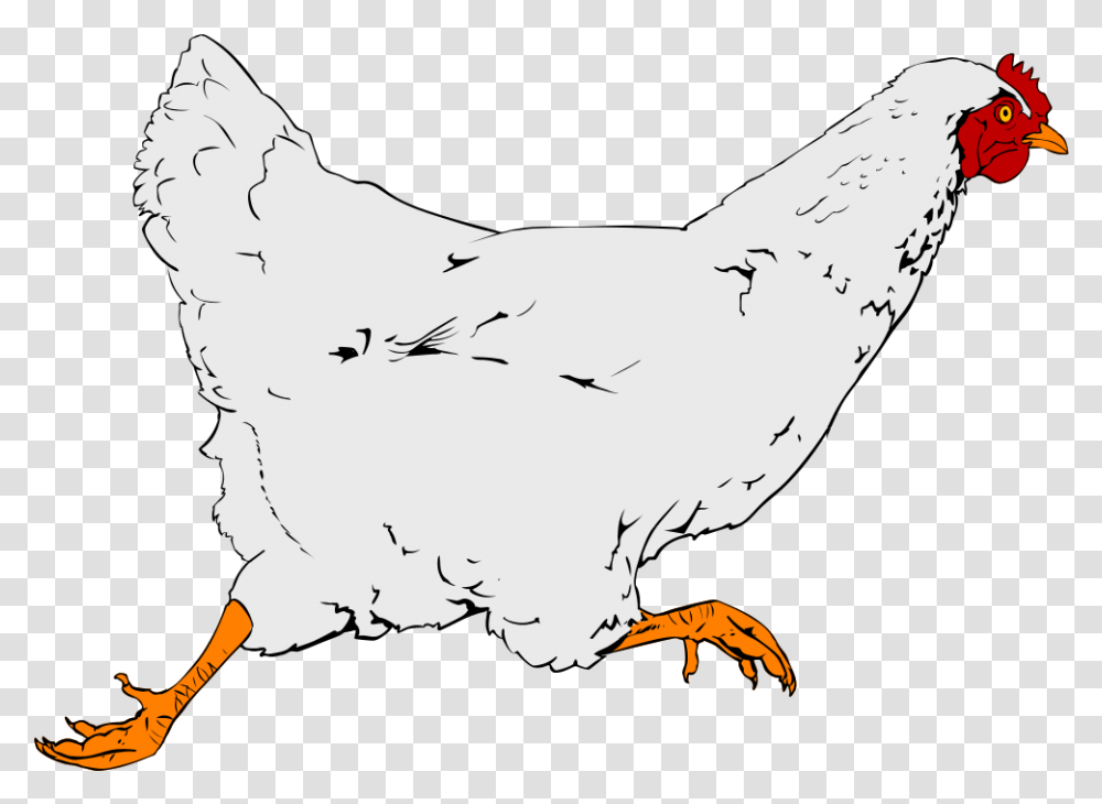 Rooster, Bird, Animal, Hen, Chicken Transparent Png