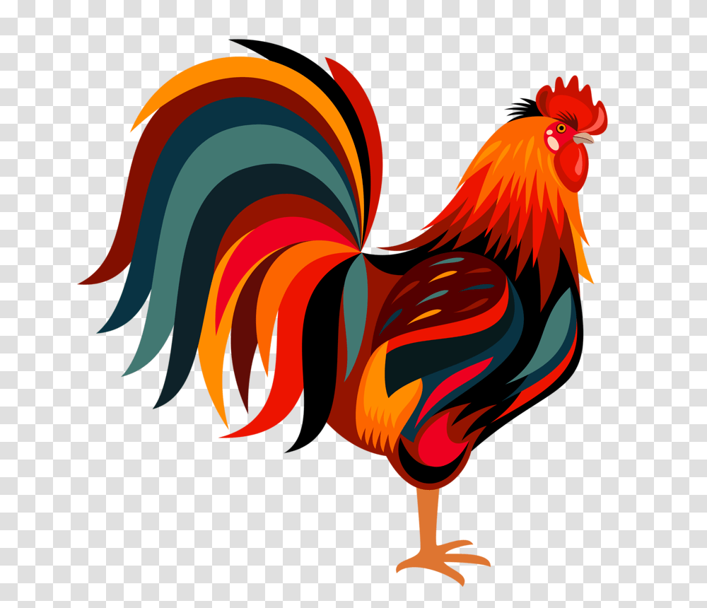 Rooster, Chicken, Poultry, Fowl, Bird Transparent Png