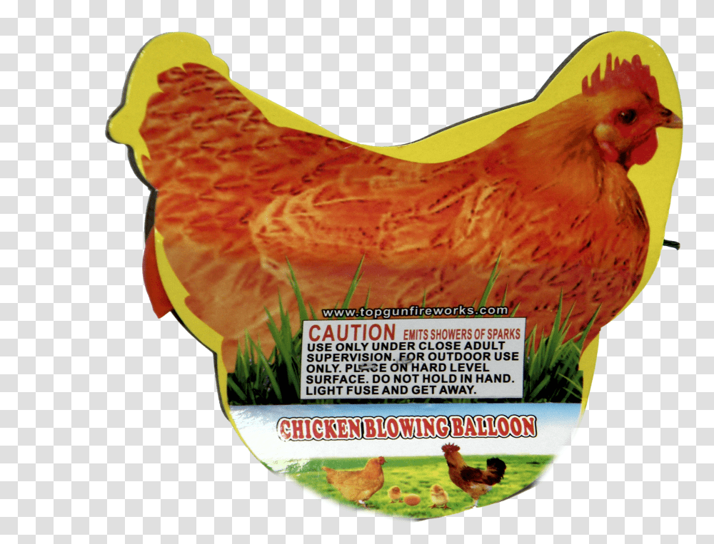 Rooster, Chicken, Poultry, Fowl, Bird Transparent Png