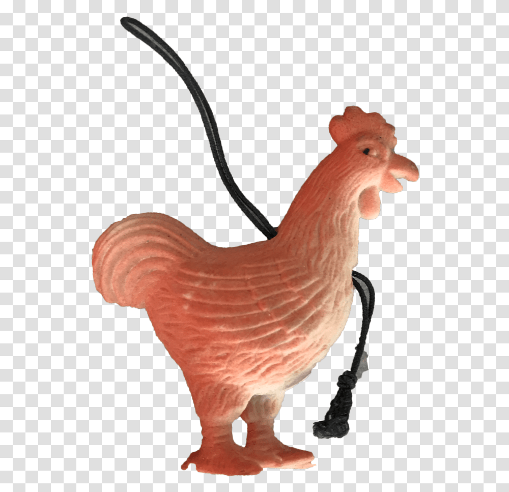 Rooster, Chicken, Poultry, Fowl, Bird Transparent Png