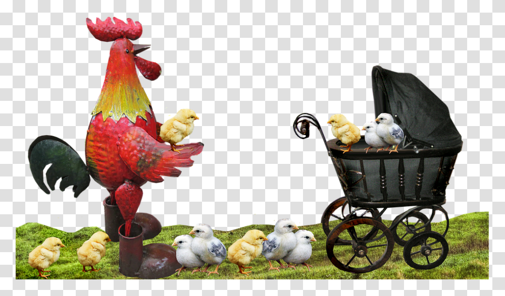 Rooster Chickens Fatherhood Family Rooster, Poultry, Fowl, Bird, Animal Transparent Png