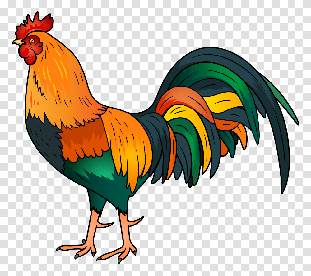 Rooster Clip Art Image, Poultry, Fowl, Bird, Animal Transparent Png