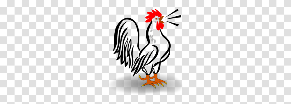 Rooster Clip Art, Plant, Bird, Animal Transparent Png