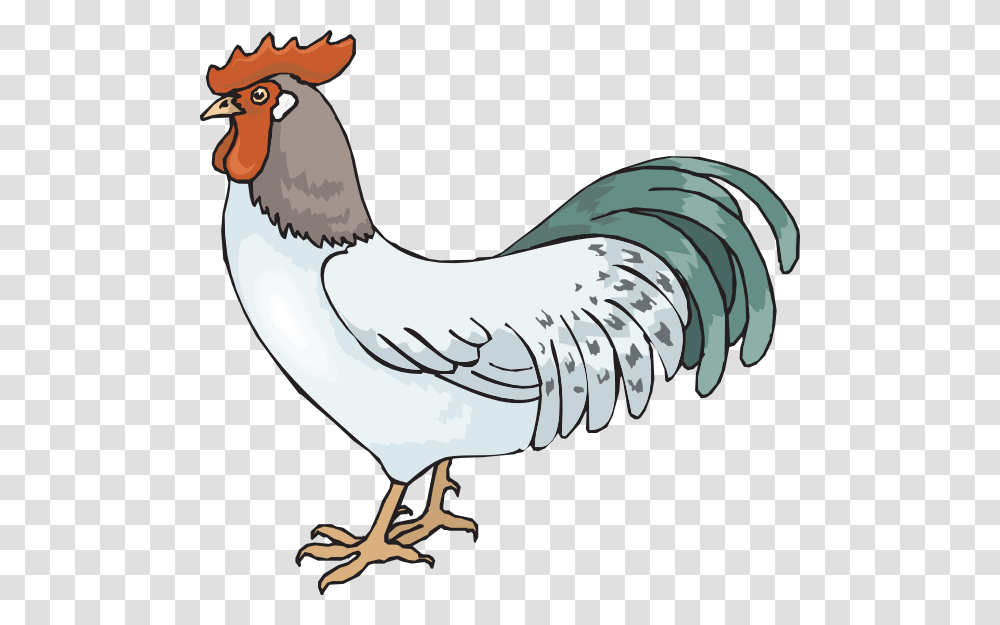 Rooster Clip Art, Poultry, Fowl, Bird, Animal Transparent Png