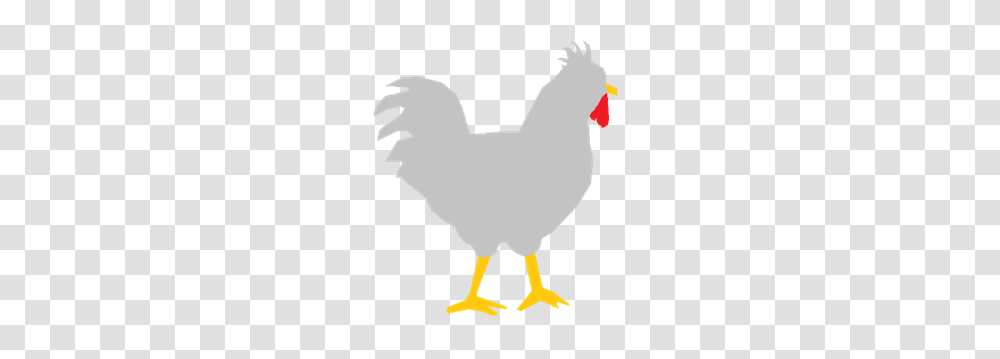Rooster Clip Arts For Web, Hen, Chicken, Poultry, Fowl Transparent Png