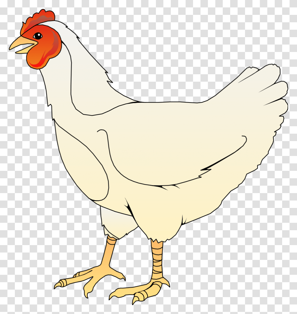 Rooster Clipart Ayam, Poultry, Fowl, Bird, Animal Transparent Png