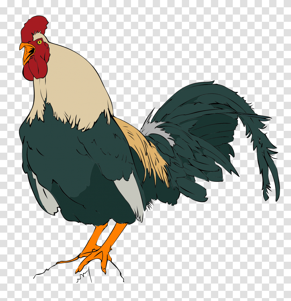 Rooster Clipart, Fowl, Bird, Animal, Poultry Transparent Png