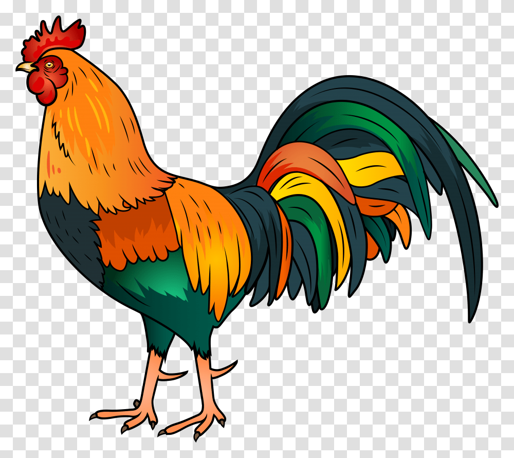 Rooster Clipart, Poultry, Fowl, Bird, Animal Transparent Png