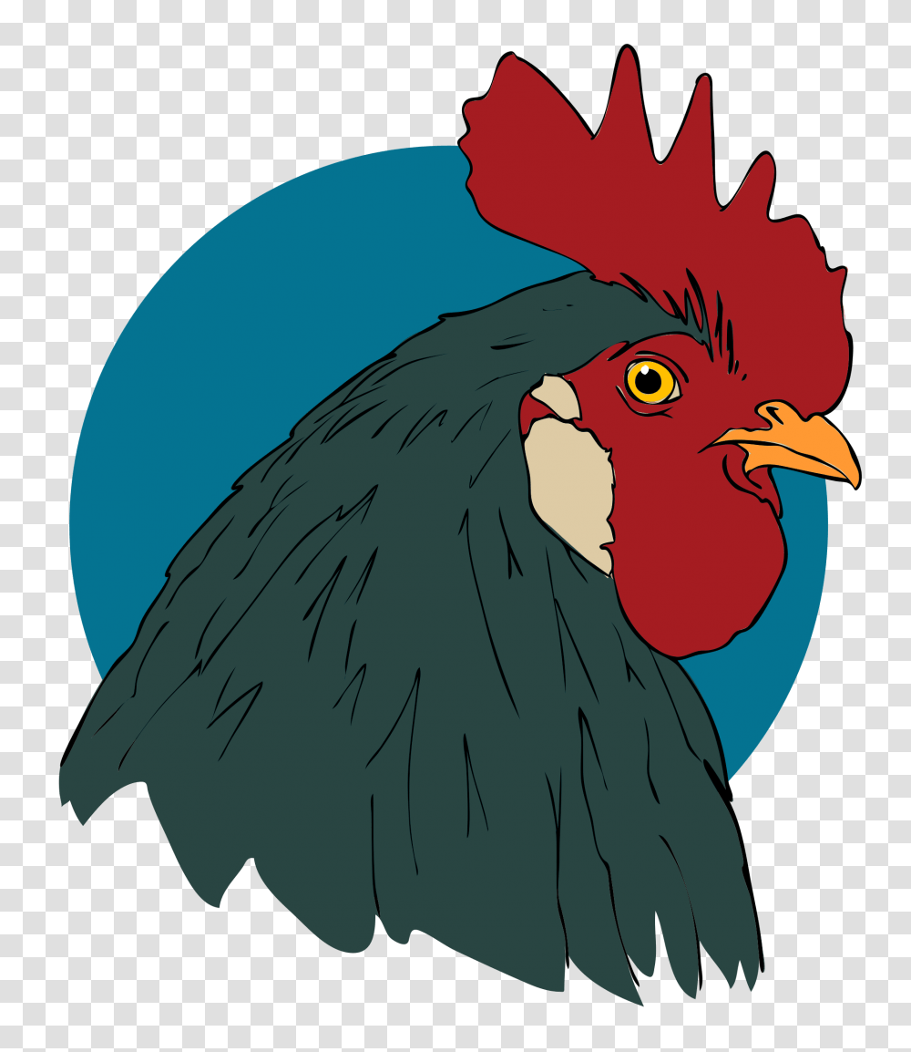 Rooster Closeup, Poultry, Fowl, Bird, Animal Transparent Png