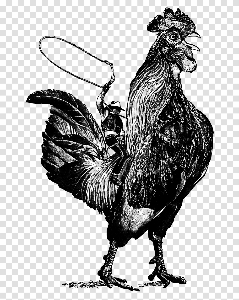 Rooster Cowboy Riding A Chicken, Gray, World Of Warcraft Transparent Png