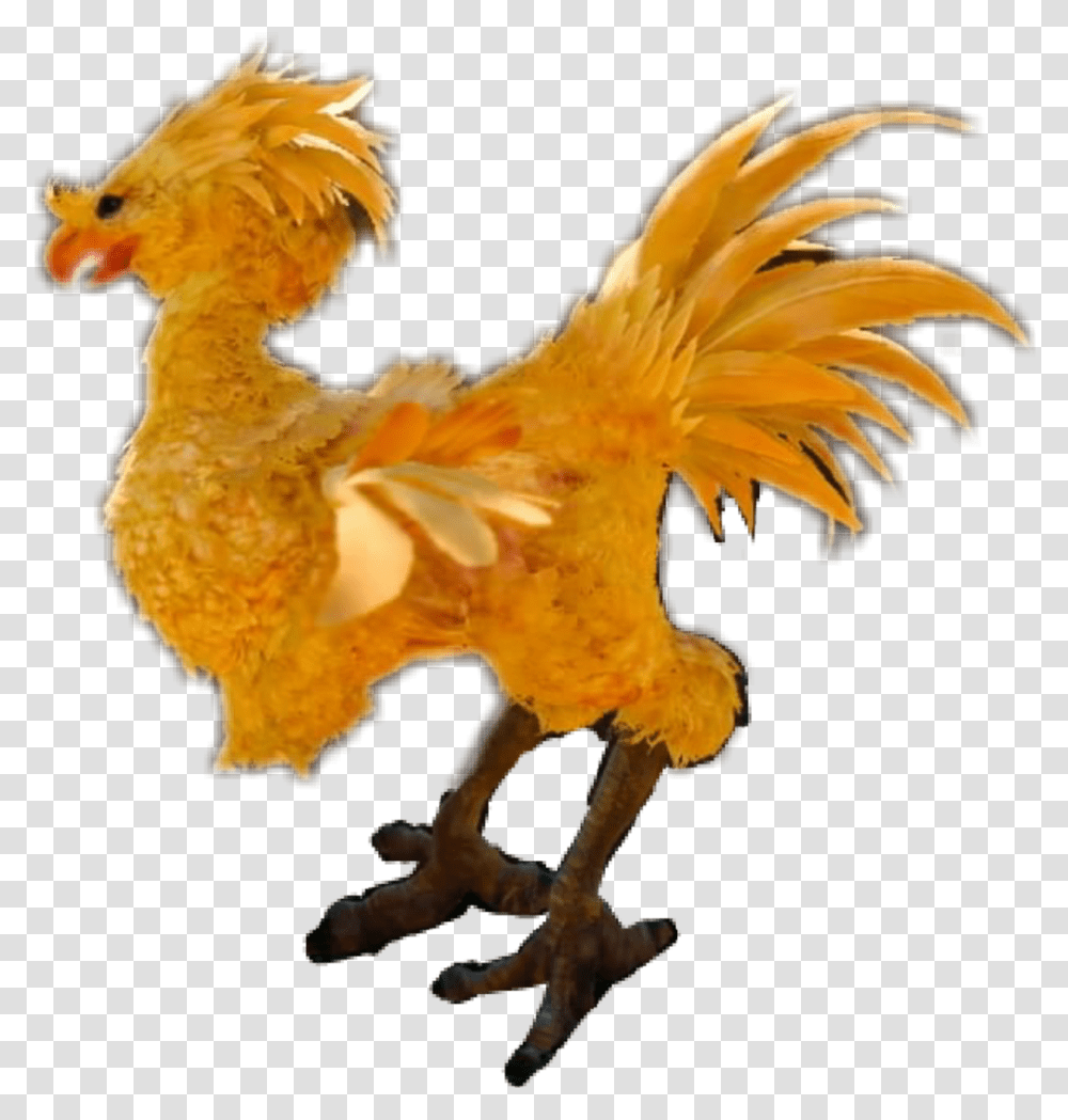 Rooster Download Rooster, Bird, Animal, Chicken, Poultry Transparent Png