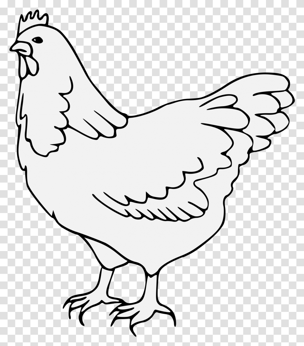 Rooster Download Rooster, Hen, Chicken, Poultry, Fowl Transparent Png