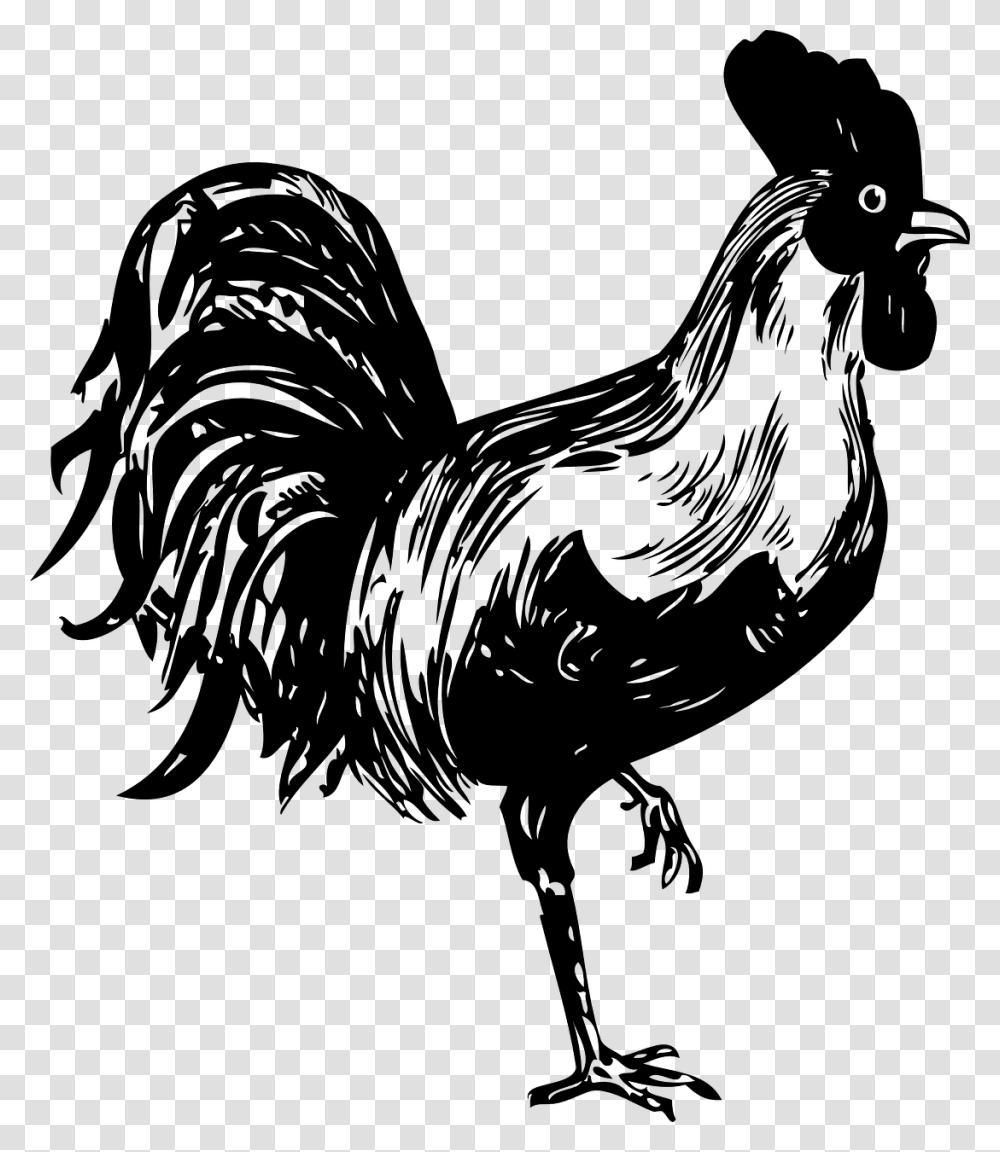 Rooster Drawing, Gray, World Of Warcraft Transparent Png