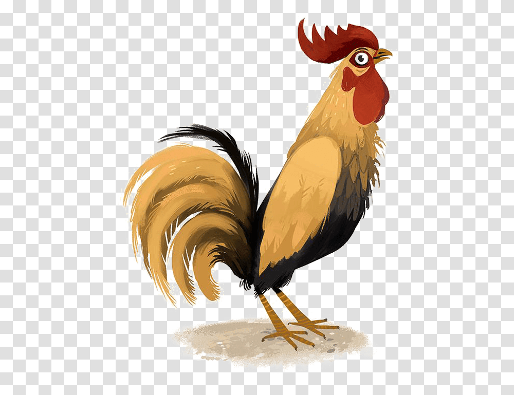 Rooster, Fowl, Bird, Animal, Poultry Transparent Png