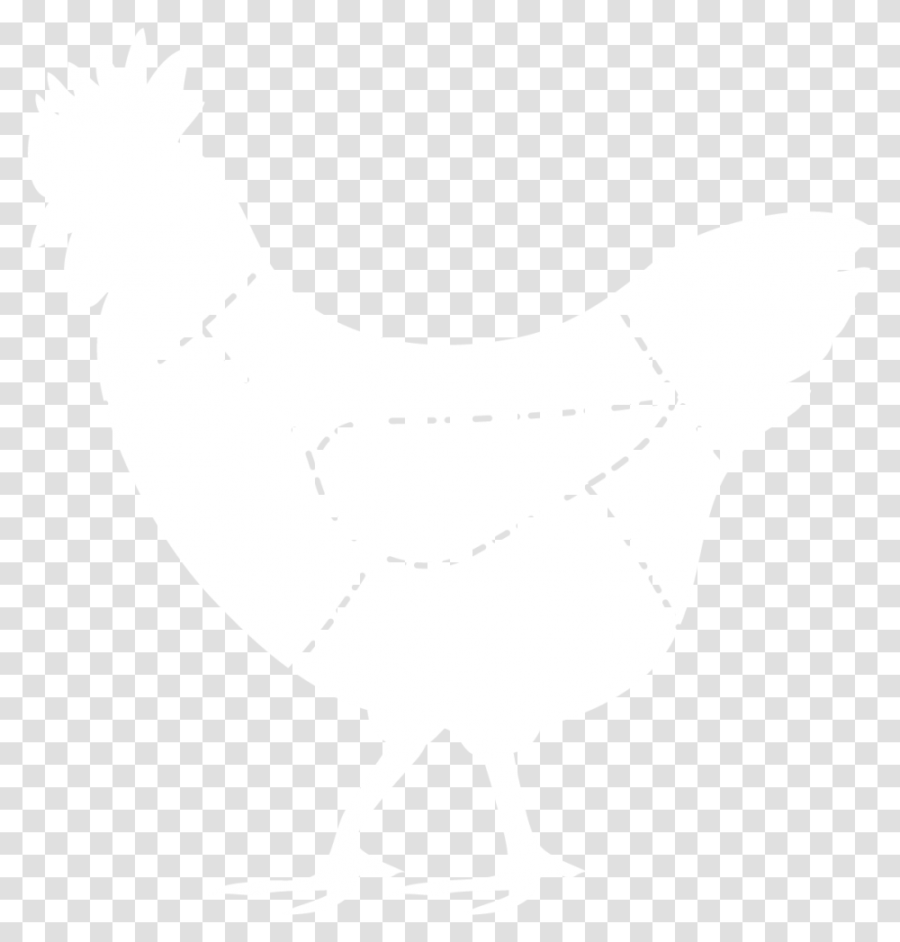 Rooster, Fowl, Bird, Animal, Poultry Transparent Png