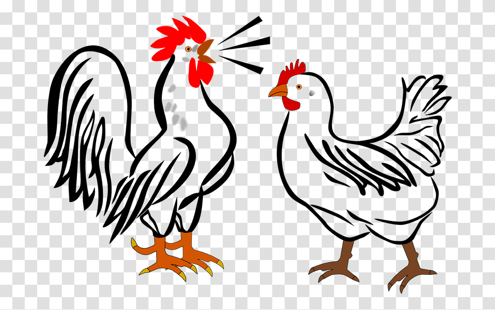 Rooster Hen Farm Animals Birds Chicken Poultry Chicken And Rooster Clipart, Fire, Fowl, Cock Bird, Flame Transparent Png