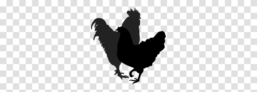 Rooster Hen Silhouette Silhouettes Silhouette, Animal, Stencil Transparent Png