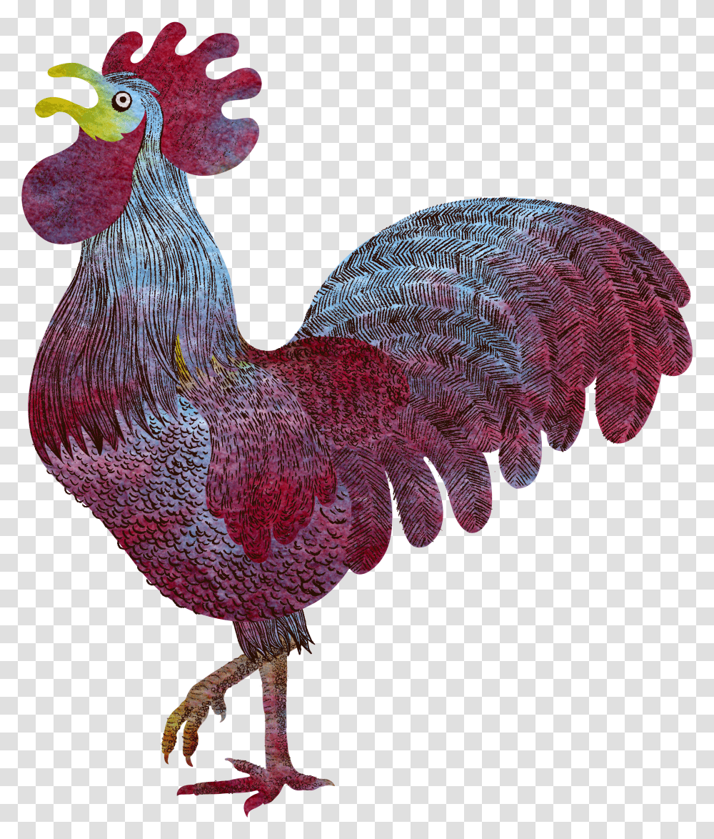 Rooster Louwilde Transparent Png