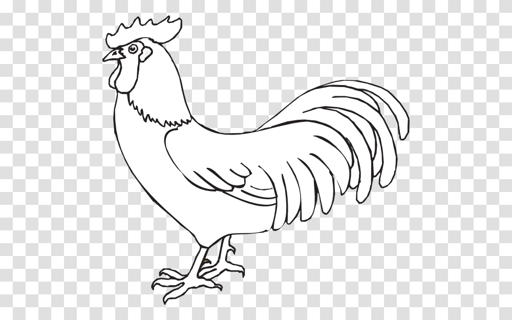 Rooster Peter Denies Jesus Coloring, Bird, Animal, Poultry, Fowl Transparent Png