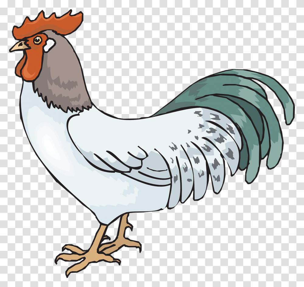 Rooster Pic Rooster Clip Art, Poultry, Fowl, Bird, Animal Transparent Png