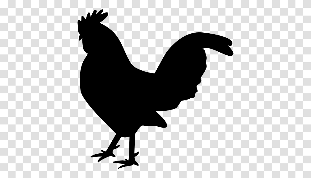 Rooster, Poultry, Fowl, Bird, Animal Transparent Png