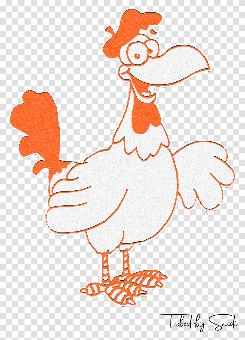 Rooster, Poultry, Fowl, Bird, Animal Transparent Png