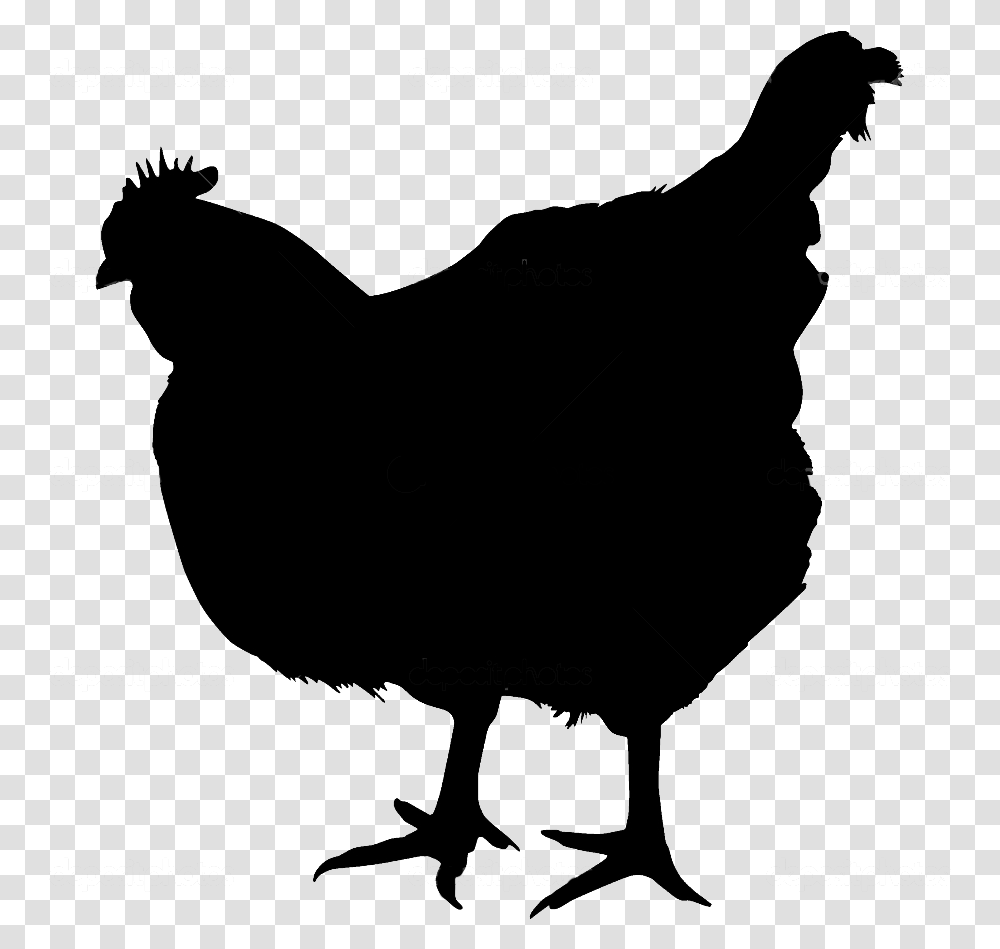 Rooster Silhouette Chicken Silhouette With No Background, Animal, Bird, Poultry, Fowl Transparent Png