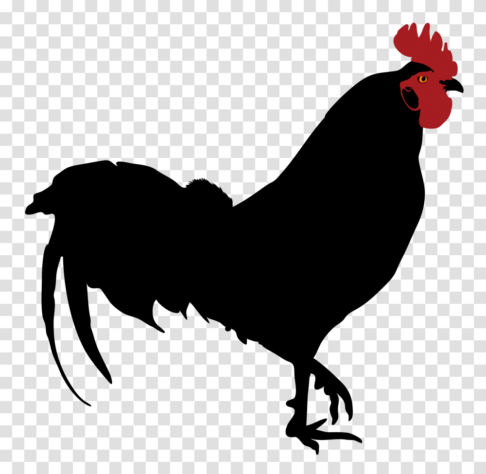 Rooster Silhouette, Outdoors, Gray Transparent Png