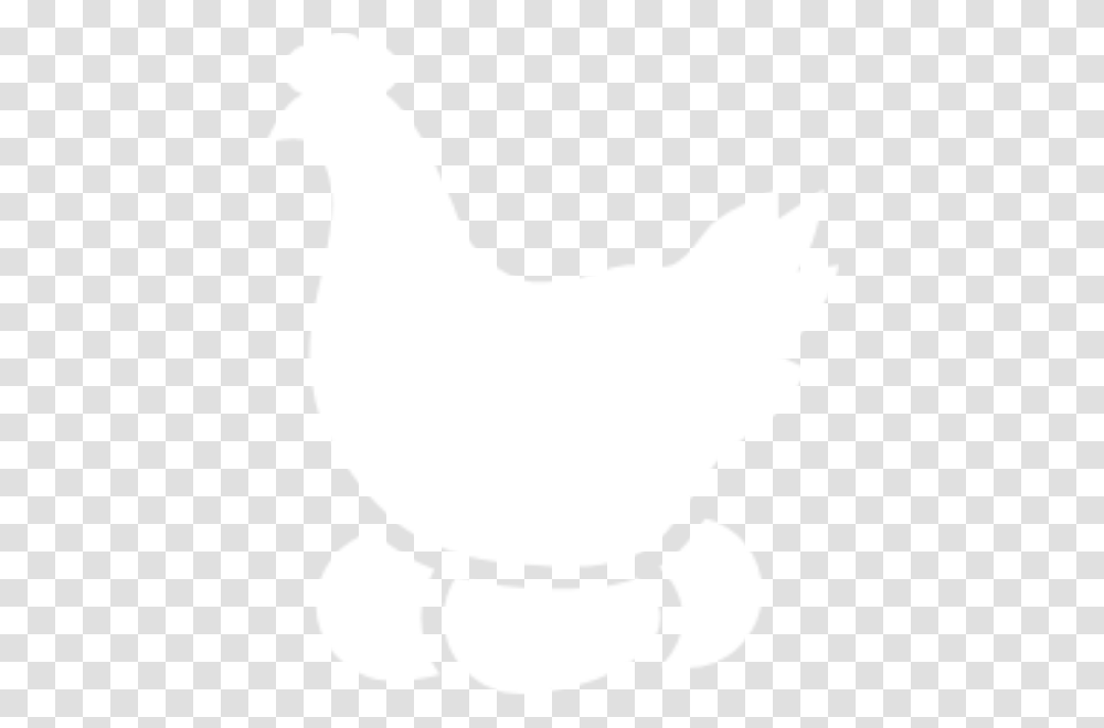 Rooster, White, Texture, White Board Transparent Png