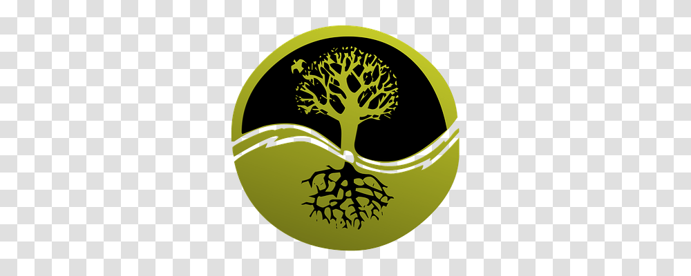 Root Nature, Plant, Logo Transparent Png