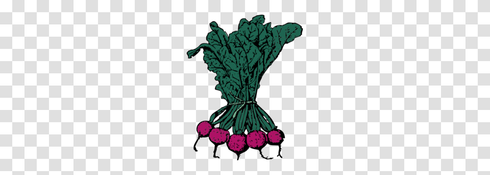 Root Cabbage Soda Clip Art, Plant, Food, Vegetable, Produce Transparent Png
