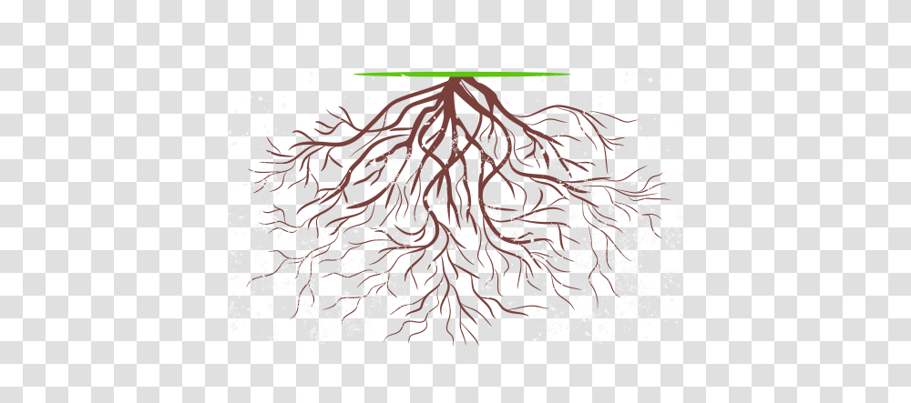 Root Rise, Plant, Chandelier, Lamp, Rug Transparent Png