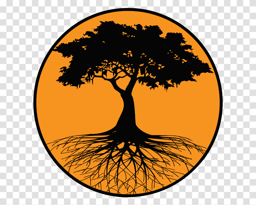 Root Silhouette Tree Orange Tree Download 740740 Above So Below Tree, Plant, Lamp Transparent Png