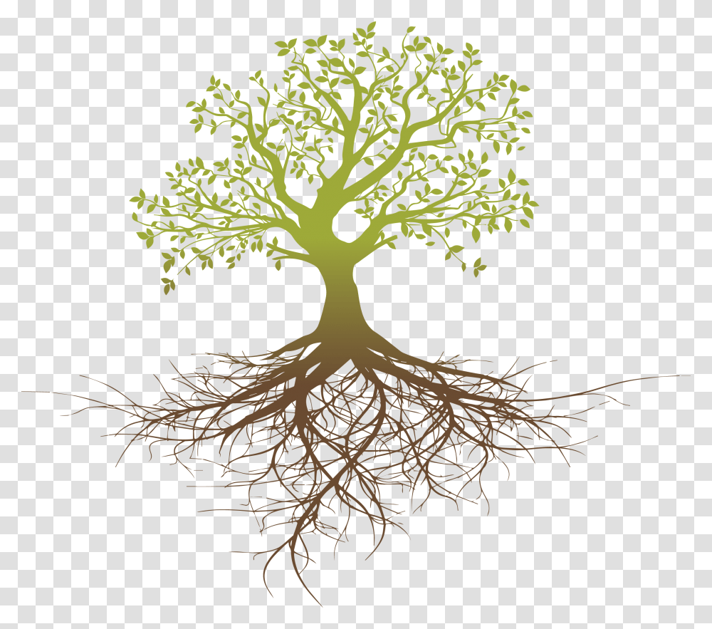 Root System Tree Oak Tree With Roots Silhouette, Plant Transparent Png