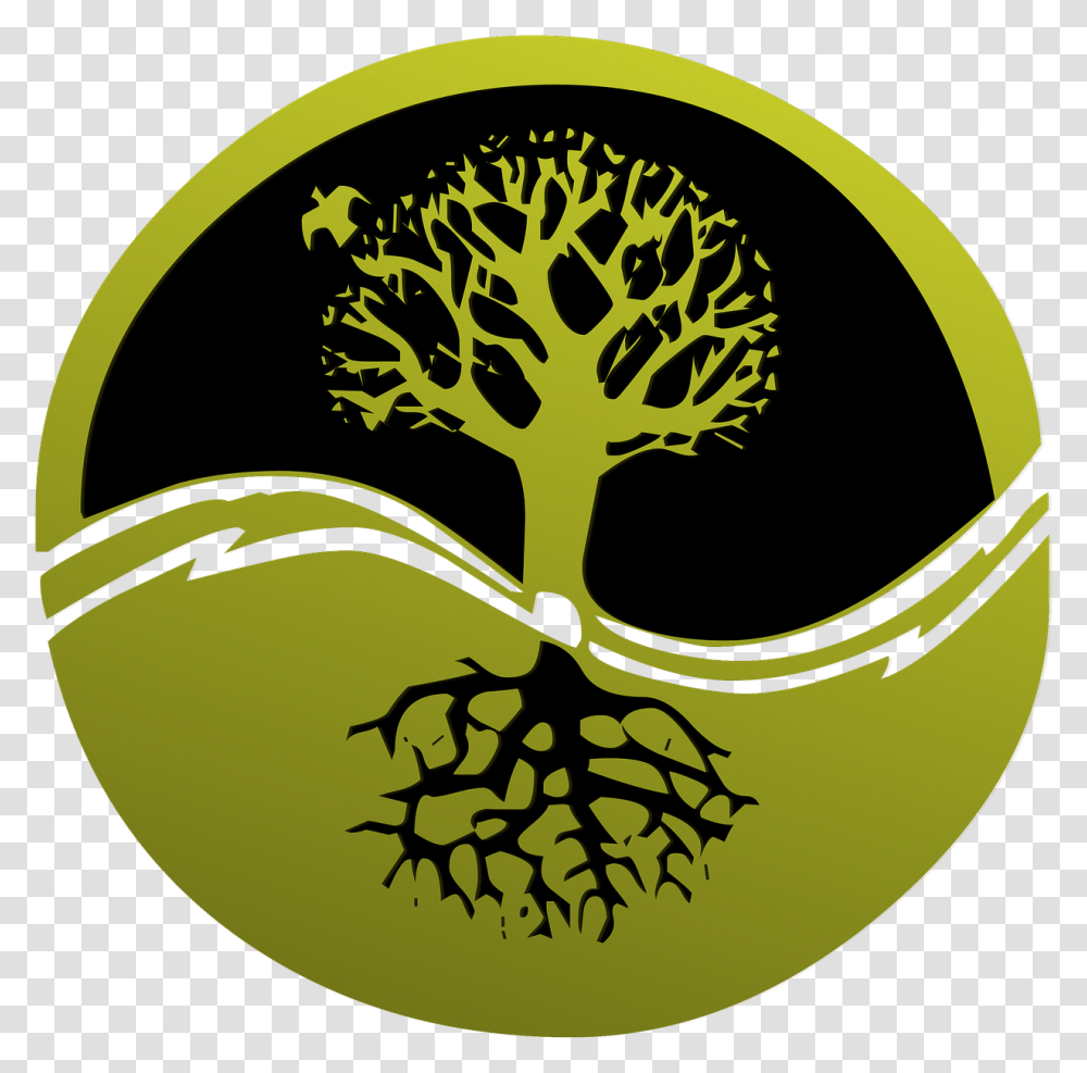 Root Tree Logo Clip Discipleship Matters, Plant, Vegetable, Food, Produce Transparent Png