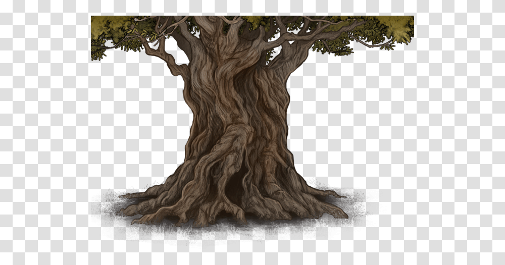 Root, Tree, Plant, Tree Trunk, Lion Transparent Png