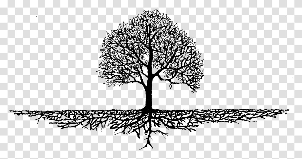 Root Tree Soil Trunk Nutrient Tree With Roots Art, Plant, Stencil Transparent Png