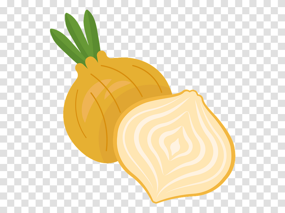 Root Vegetable, Plant, Food, Carrot, Fungus Transparent Png