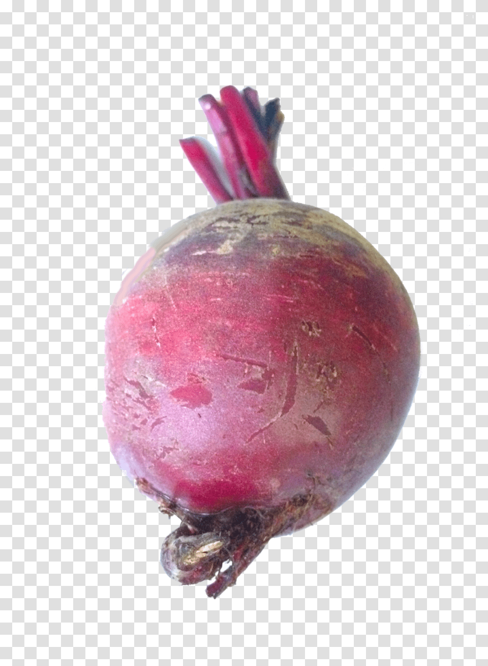 Root Vegetables Beetroot, Turnip, Produce, Food, Plant Transparent Png