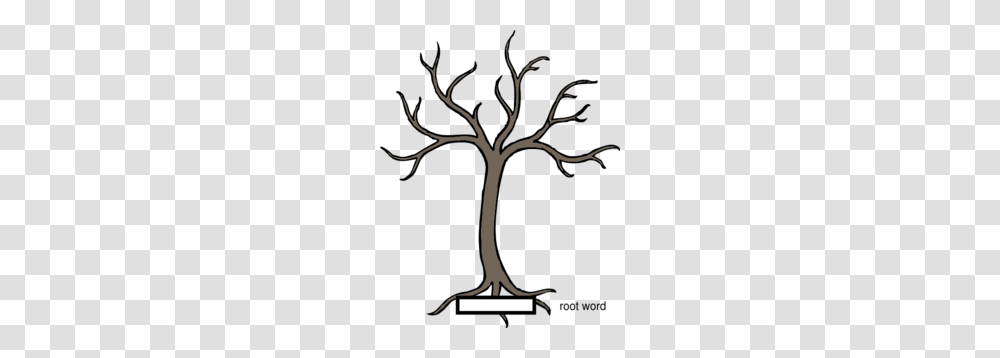 Root Word Graphic Clip Art, Plant, Tree, Tree Trunk, Oak Transparent Png