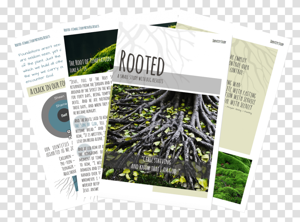 Rooted Flyer, Poster, Advertisement, Paper, Brochure Transparent Png