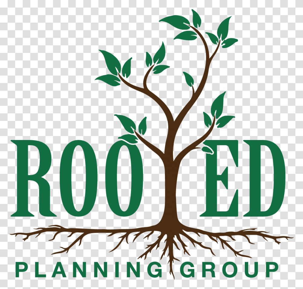 Rooted Planning Group Royalty Free, Plant Transparent Png
