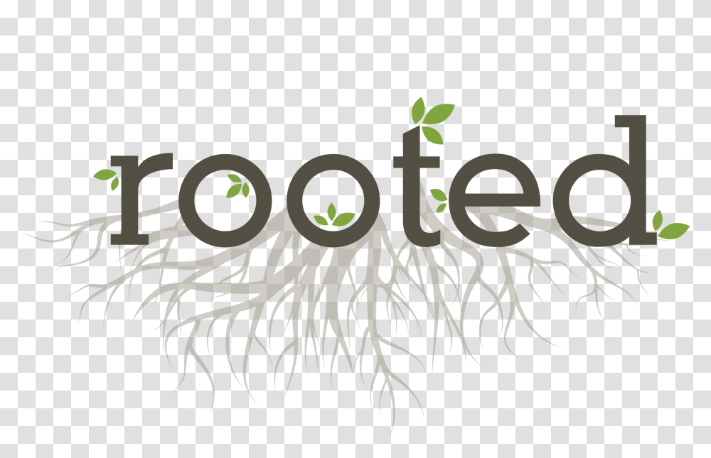 Rooted Video Week 1 Prayer Calligraphy, Plant, Handwriting, Grass Transparent Png