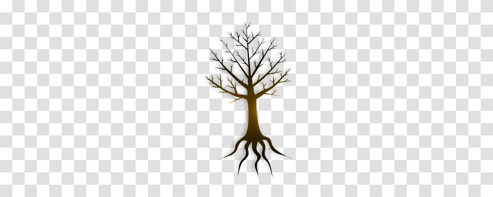 Roots Nature, Plant, Tree, Cross Transparent Png