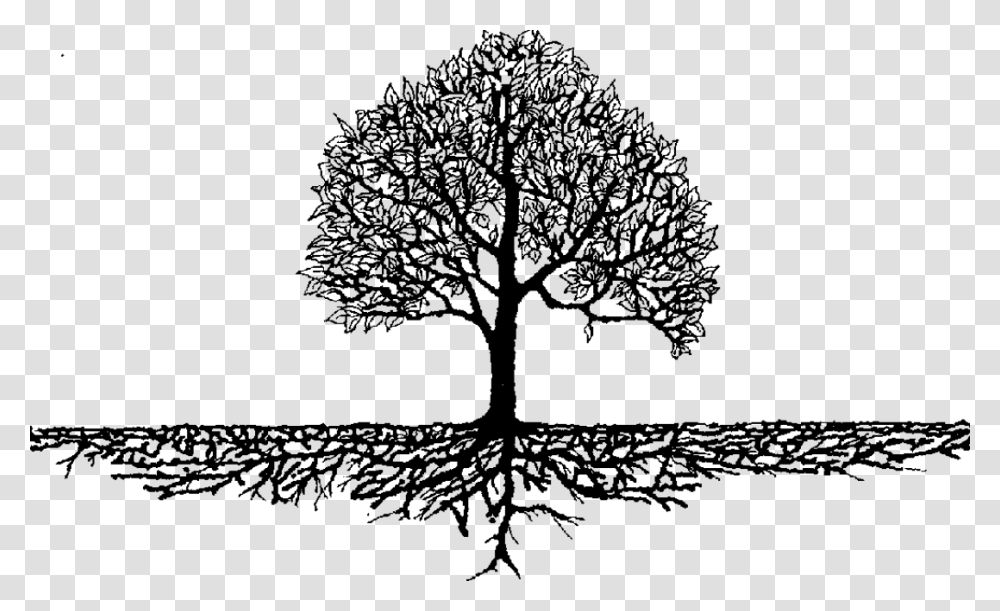 Roots Amp Branches Black And White Tree With Roots, Gray, World Of Warcraft Transparent Png