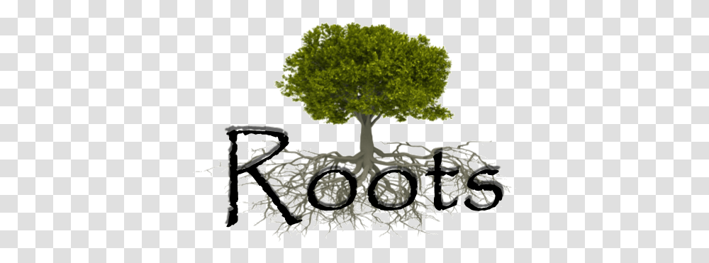 Roots And Branches - Valley Christian Center Fiction, Plant, Tree, Clock Tower, Architecture Transparent Png