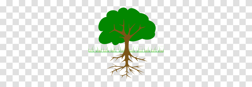 Roots Clip Art, Plant Transparent Png