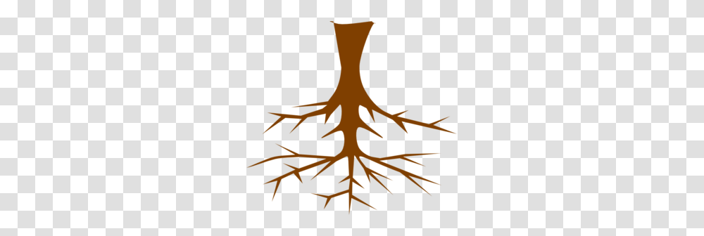 Roots Clip Art, Poster, Advertisement, Plant Transparent Png