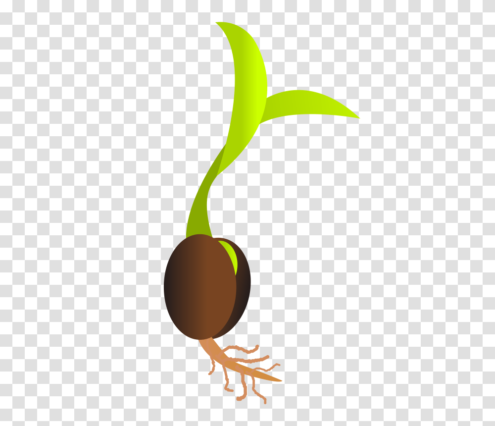 Roots Clipart Tree Sprout, Plant, Green, Flower, Animal Transparent Png